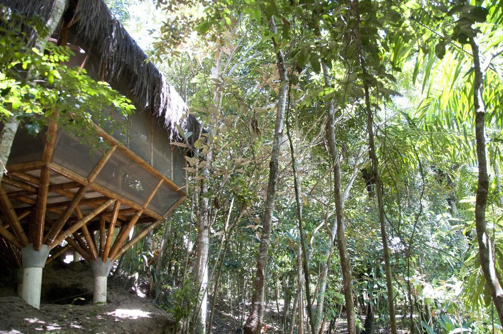 Universo Pol Bamboo Hostel Morro de Sao Paulo Room photo