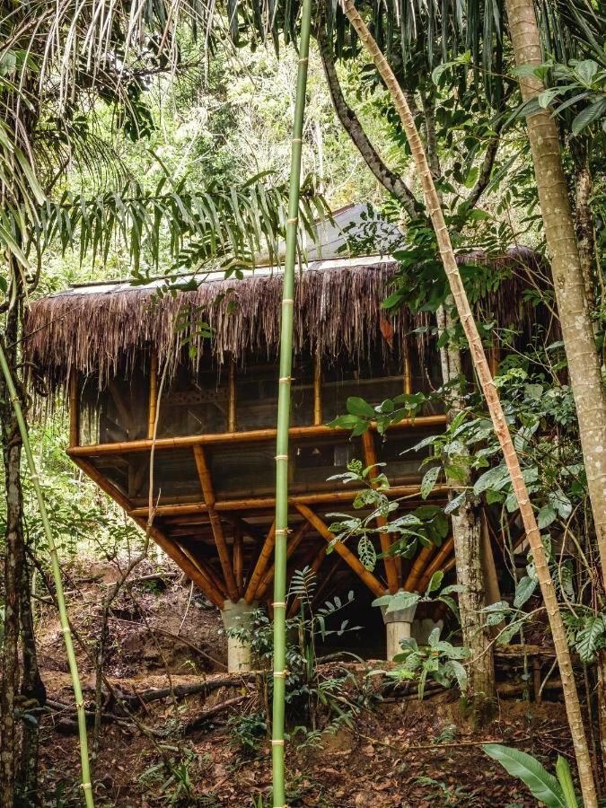 Universo Pol Bamboo Hostel Morro de Sao Paulo Exterior photo